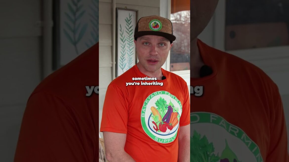 Growing from seed: where the magic begins 🌱✨