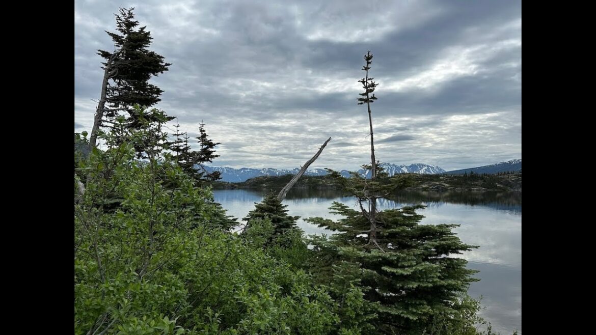 A Japanese Garden in the Yukon Territory of Canada? A Japanese Garden in the Yukon Territory of Canada?