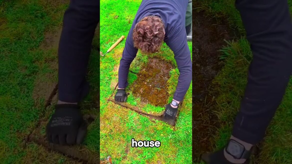 Satisfying Gardening Work 🌳 #garden #gardening #satisfying #cleaning  #grass #lawn #viral #fyp #48 Satisfying Gardening Work 🌳 #garden #gardening #satisfying #cleaning  #grass #lawn #viral #fyp #48