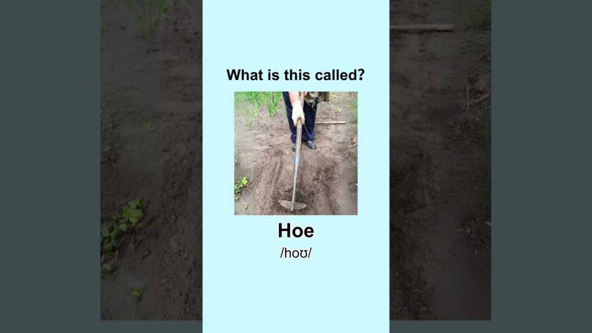 Can you name these essential gardening tools?#learnenglish #dailyenglish #vocabulary #learn #english Can you name these essential gardening tools?#learnenglish #dailyenglish #vocabulary #learn #english