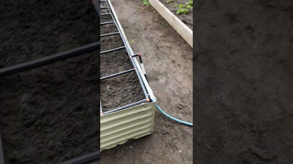 @thepurposefulyou Turns On Their First Garden Grid™