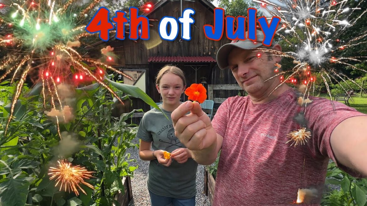 S01 Ep11 Edible flowers, Fireworks, Sheep meet the chickens S01 Ep11 Edible flowers, Fireworks, Sheep meet the chickens