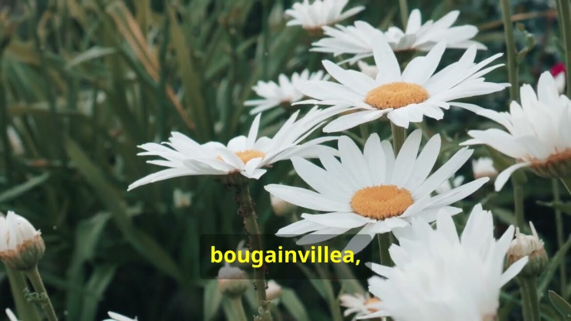 Flower Garden Design Concepts for Small Front Yards Flower Garden Design Concepts for Small Front Yards