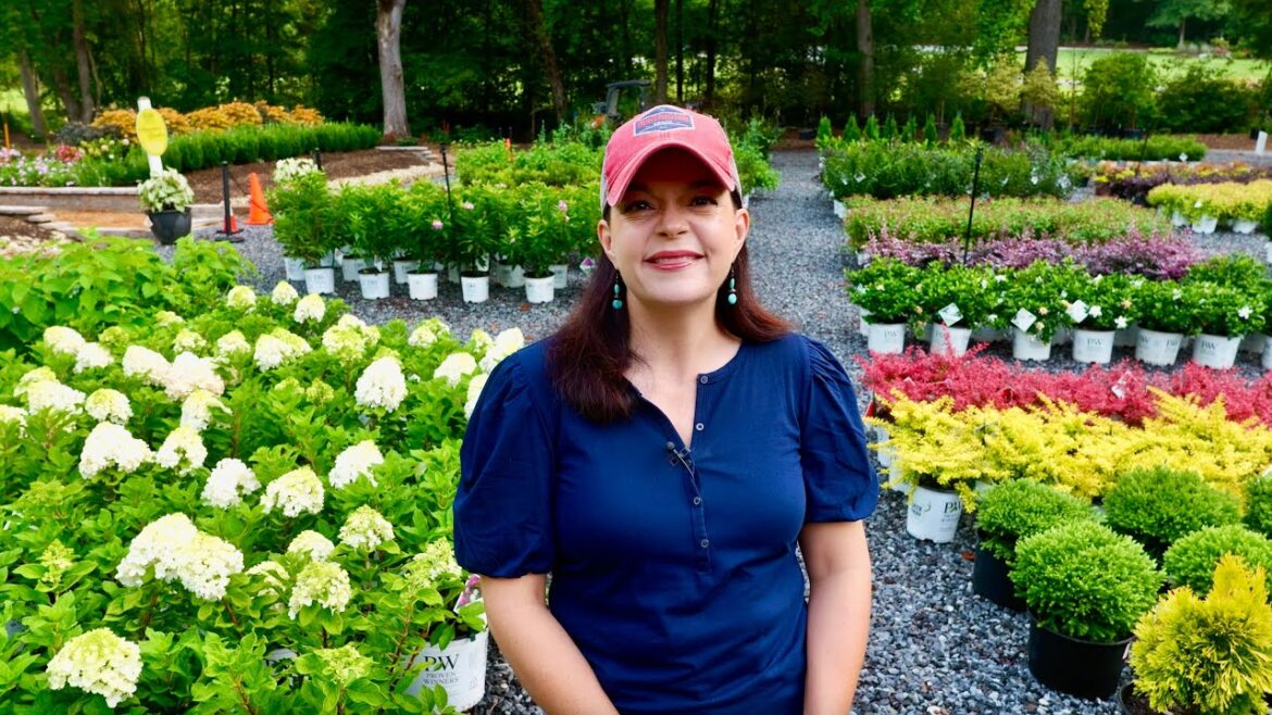 Gorgeous Plants You Need to Add to Your Garden Gorgeous Plants You Need to Add to Your Garden
