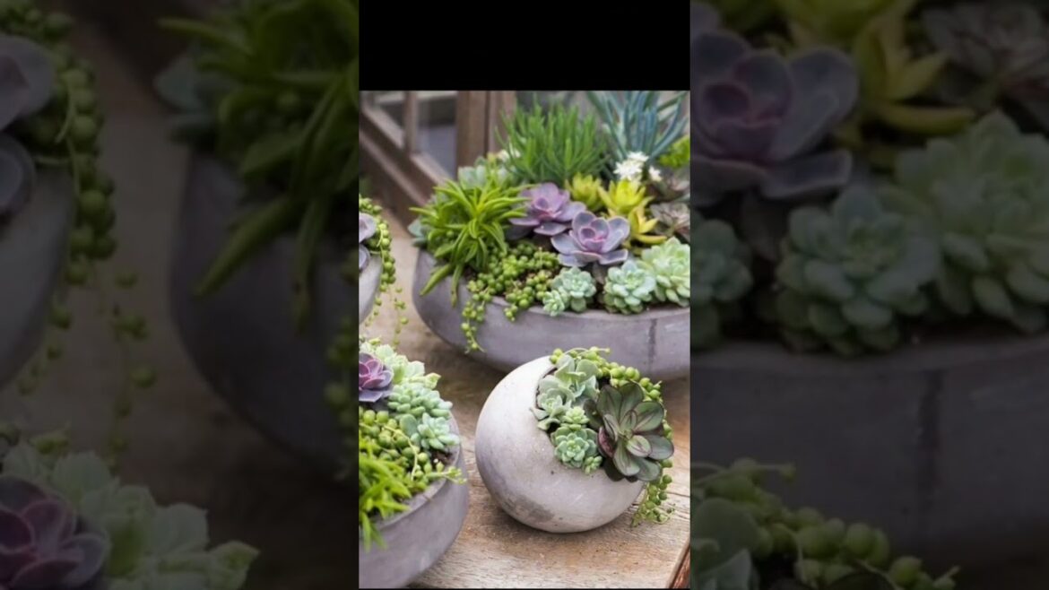 Ideas for small garden design | Small yard landscaping ideas