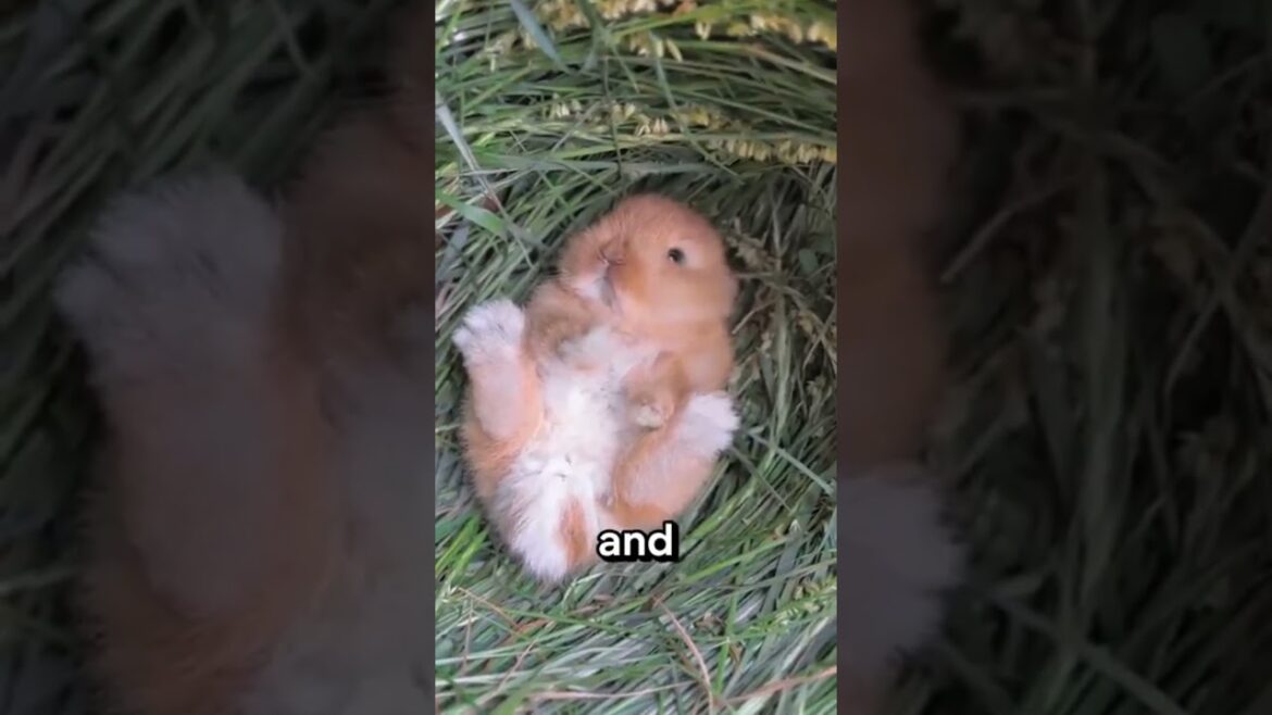 Never Squeeze This Plants! #viralshorts #shorts