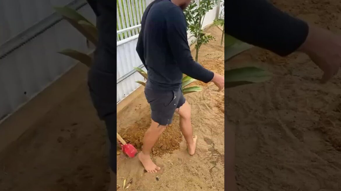 Quick Garden Makeover #yardcleanup #GardenMakeover #LandscapingIdeas  #BeforeAndAfter #Backyard