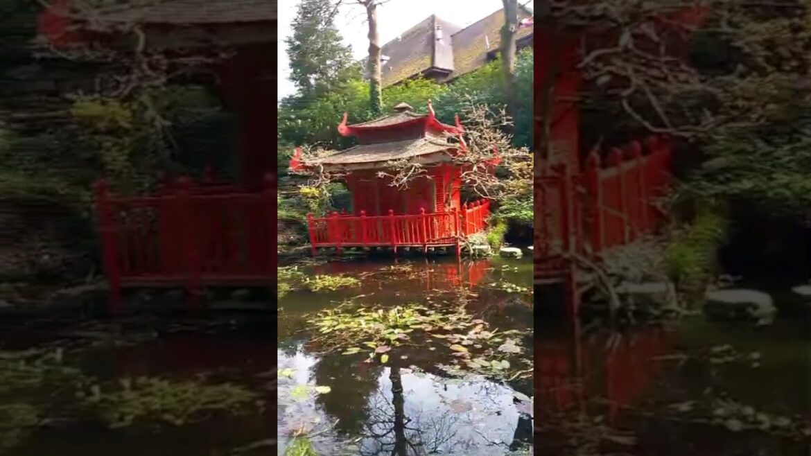 Japanese garden in UK #japanesegardens #comptonacres #Japan #nature #pond #beautiful