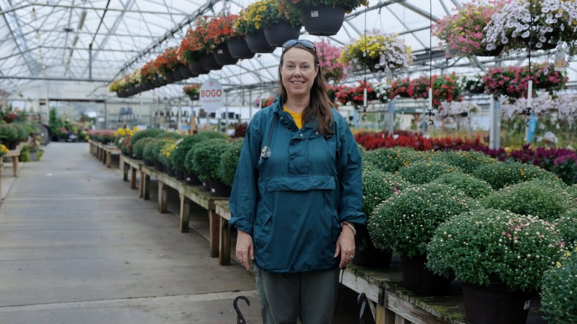 PETITTI | What’s In Store September 2024 PETITTI | What's In Store September 2024