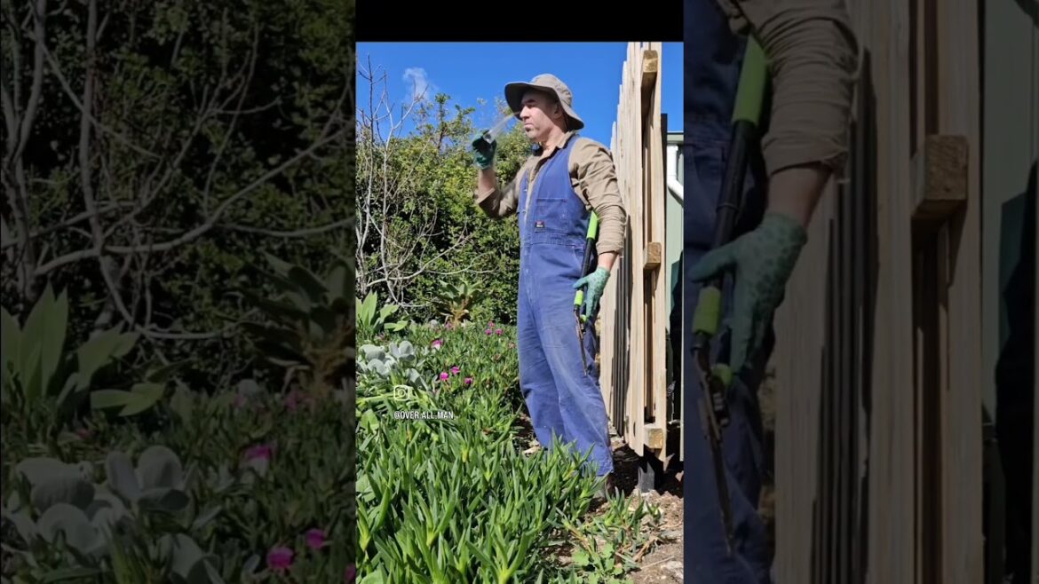 Gardening on a Spring day. #gardening #gardeningtips #gardentour #gardeningideas #garden #gardener