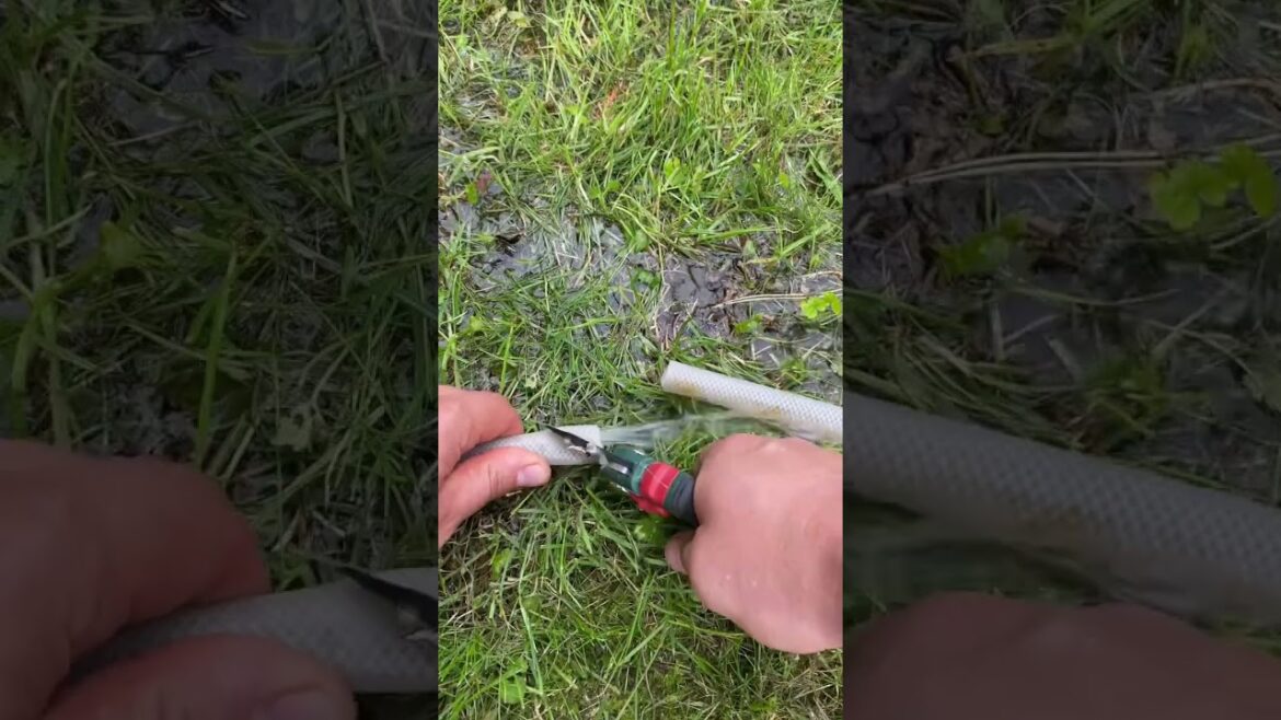 How to Fix a Garden Hose (DIY Garden Hose Repair Hacks)