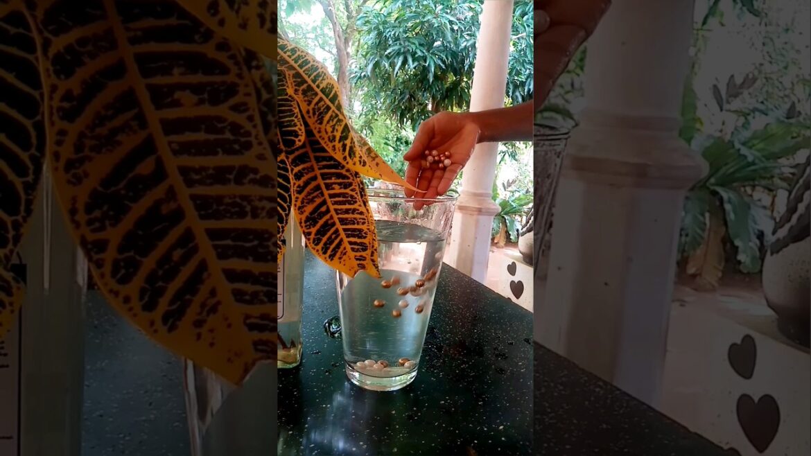 Small balls come out of the water 😯🖐️ #shorts #reverse #asmr #slowed