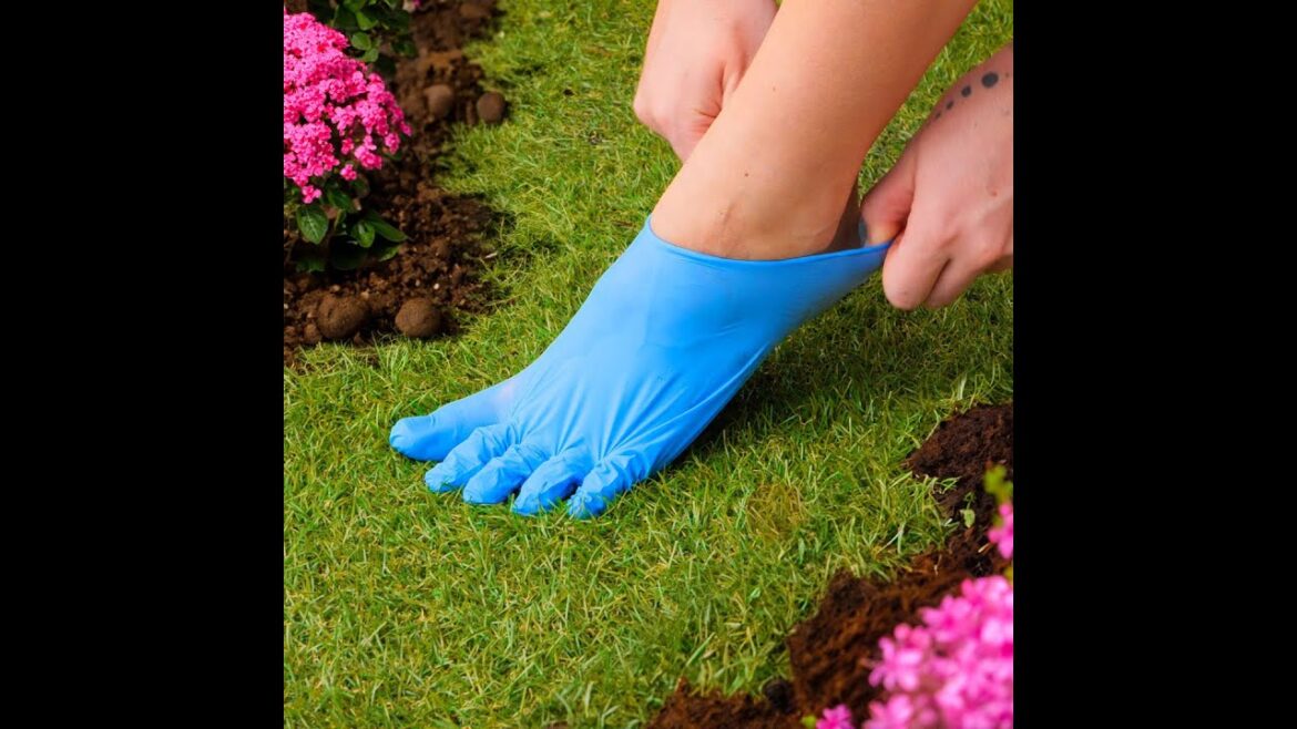 Green Thumb Secrets: Clever Hacks for a Thriving Garden Green Thumb Secrets: Clever Hacks for a Thriving Garden