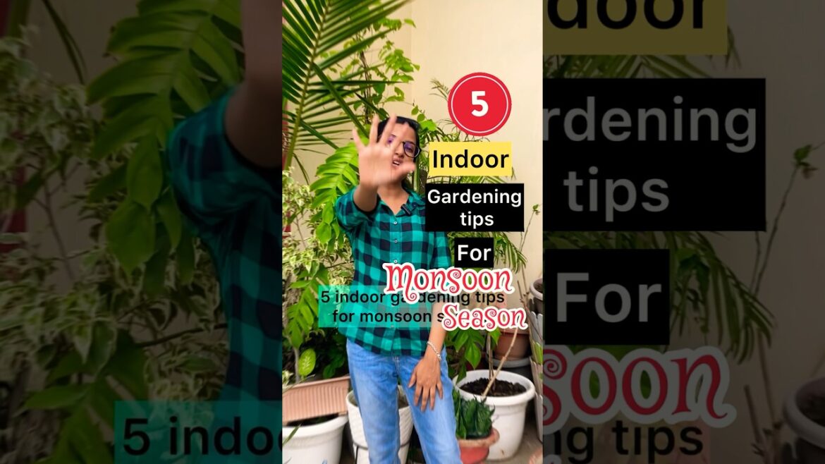 5 Indoor Gardening Tips For Monsoon Season 🌻 #shortsvideo #shortvideo #shorts #gardening #garden