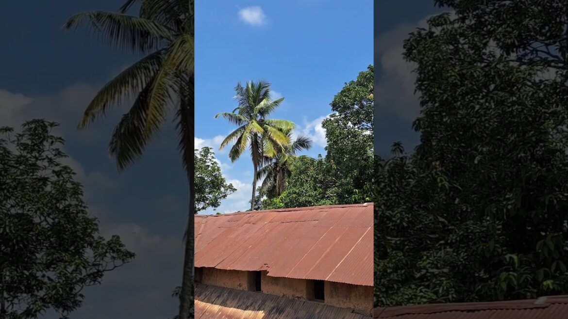 Relaxing nature . Village Life #relaxing #nature #music Relaxing nature . Village Life #relaxing #nature #music