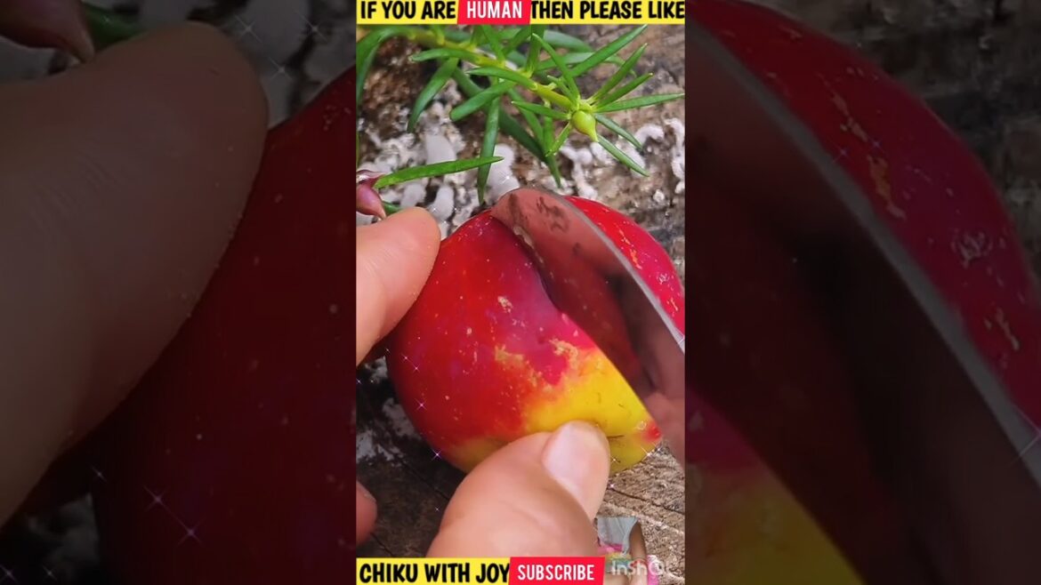 🍉 Unbelievable Fruit Cutting Skills That Will WOW You! 🍍🍓"|#shorts #freshfruits #doremonfruits