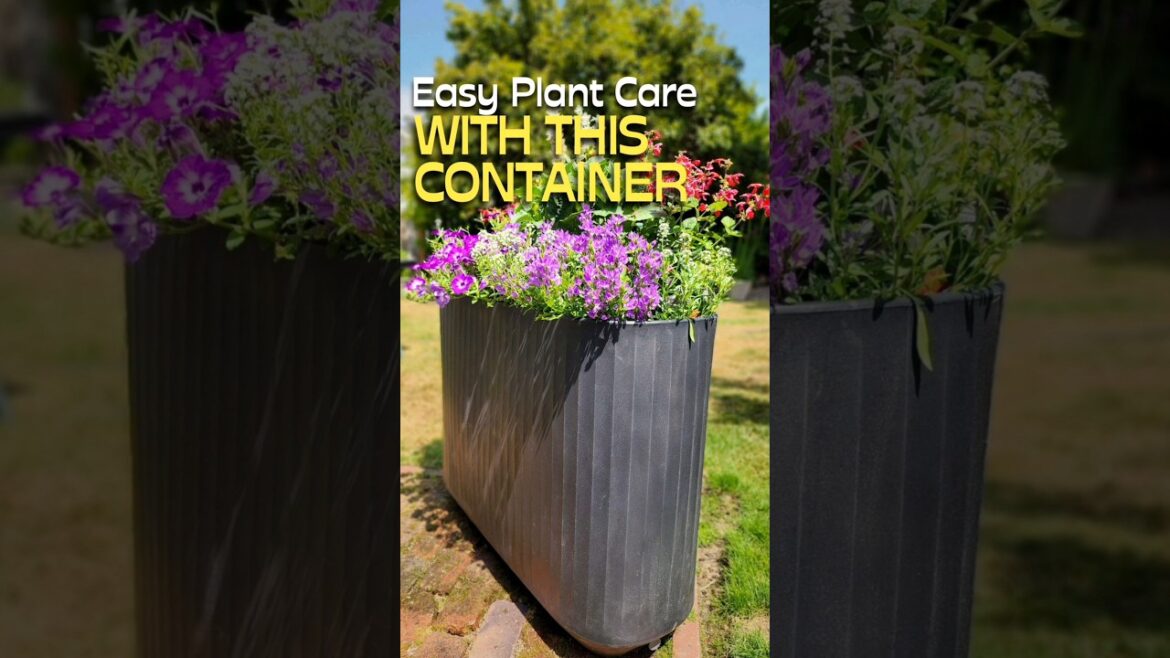 Easier Plant Care With This Container #shorts #container #garden
