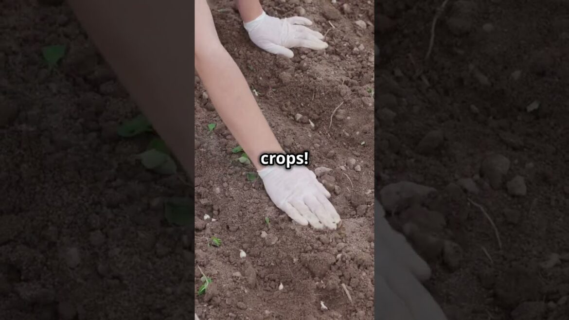 3 Secrets All Fall Gardeners Should Know! #FallGardening #GardeningTips #AutumnHarvest