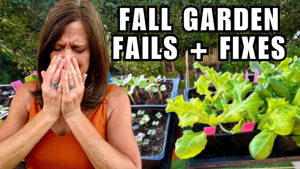 CaliKim: Why FALL Gardens FAIL & How to FIX It Why FALL Gardens FAIL & How to FIX It