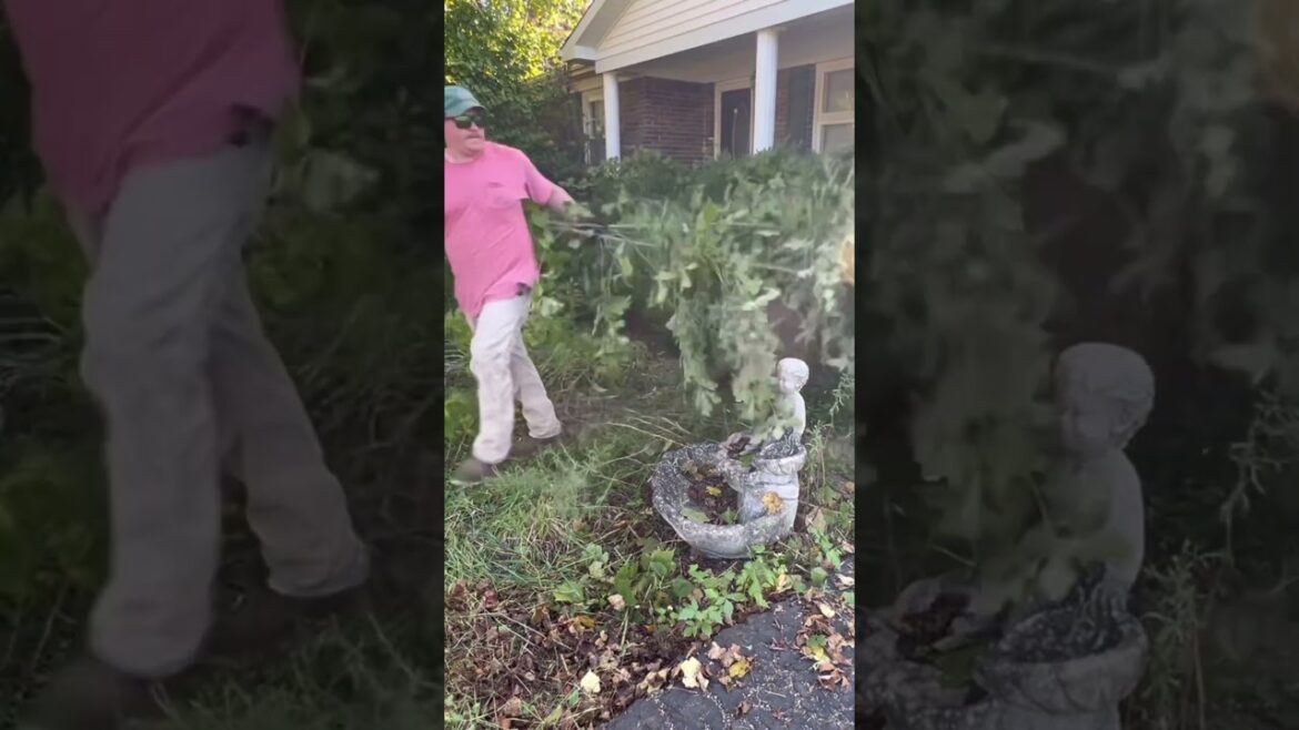 This Hasn't Seen Daylight In YEARS!