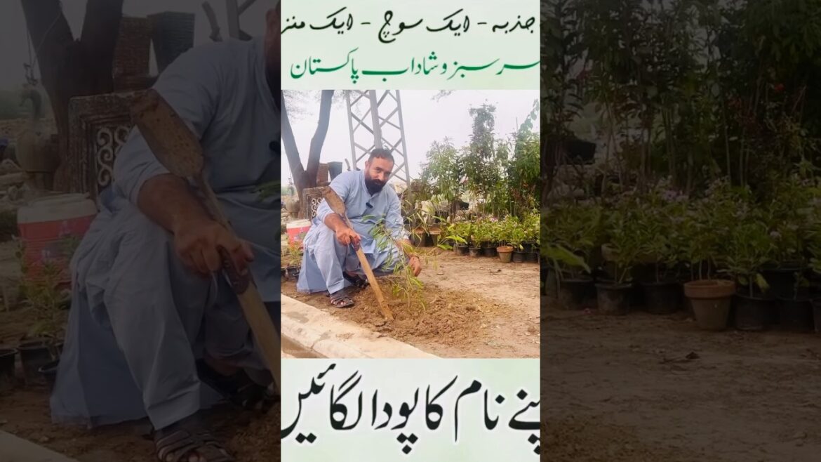 Plants for Pakistan | #landscap #gardendesign #garden #landscapr #gardenlandscaping #pakistan