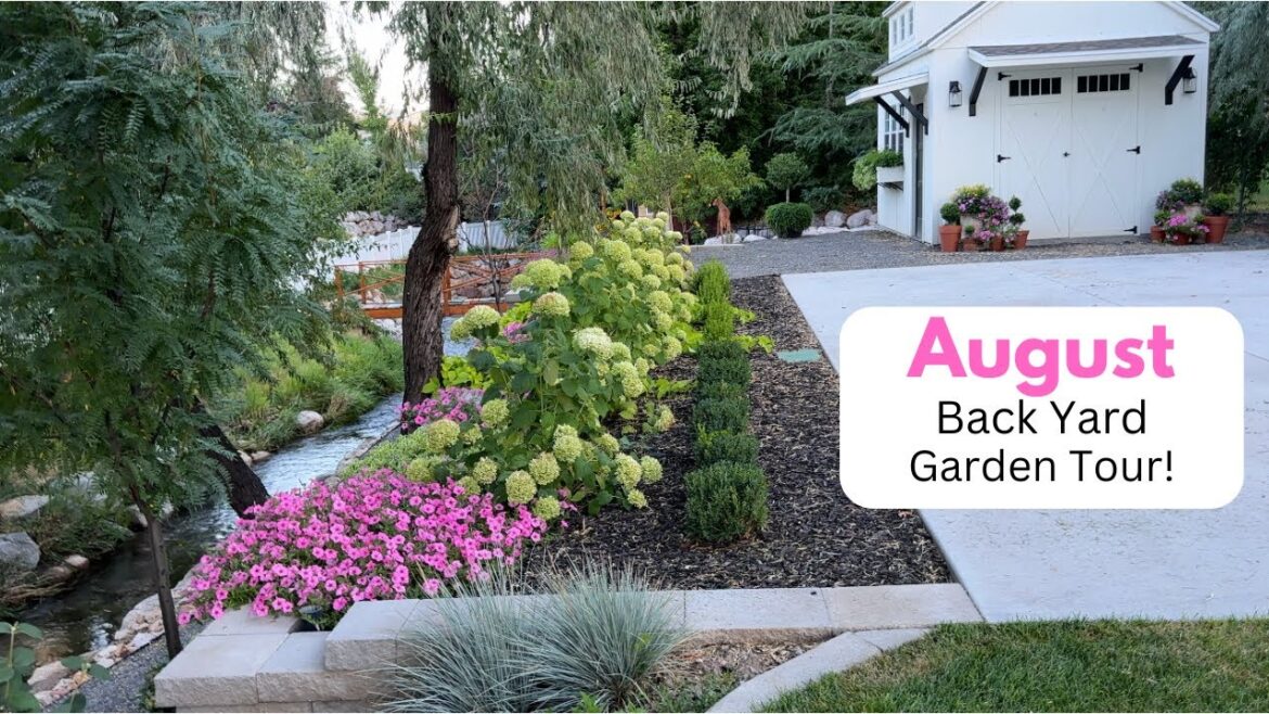 August Backyard Garden Tour! August Backyard Garden Tour!