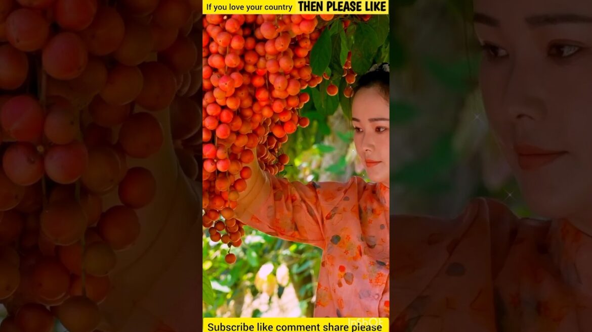π Unbelievable Fruit Cutting Skills That Will WOW You! ππ”|#shorts #freshfruits #doremonfruits π Unbelievable Fruit Cutting Skills That Will WOW You! ππ"|#shorts #freshfruits #doremonfruits