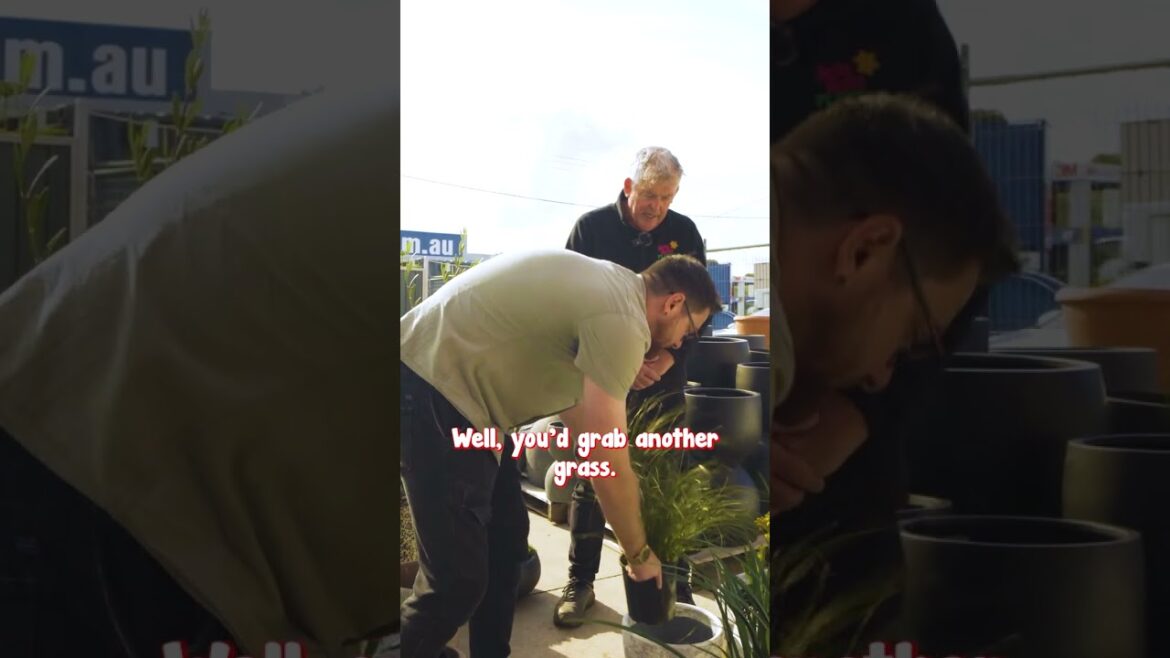 Create a Cluster of Plants in These Gorgeous Mojay Pots Create a Cluster of Plants in These Gorgeous Mojay Pots