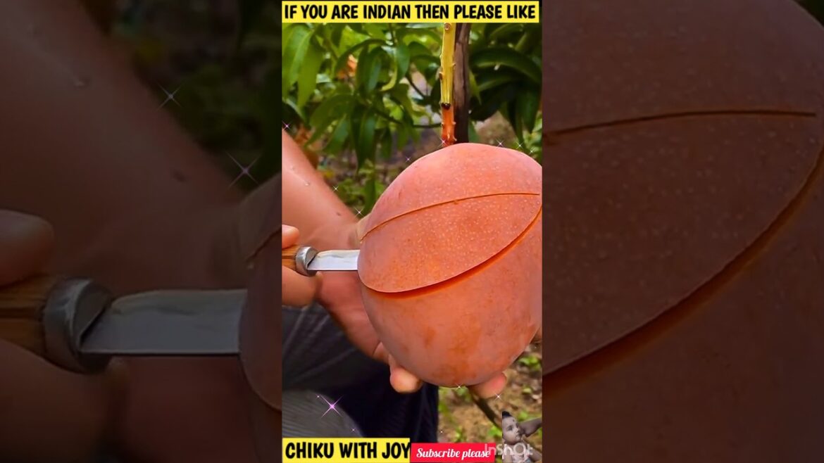 π Unbelievable Fruit Cutting Skills That Will WOW You! ππ”|#shorts #freshfruits #doremonfruits π Unbelievable Fruit Cutting Skills That Will WOW You! ππ"|#shorts #freshfruits #doremonfruits