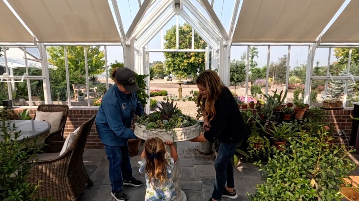 Garden Answer: Repurposing a Birdbath + Succulent Arrangement with Mom! 🥰🌵🙌 // Garden Answer Repurposing a Birdbath + Succulent Arrangement with Mom! 🥰🌵🙌 // Garden Answer