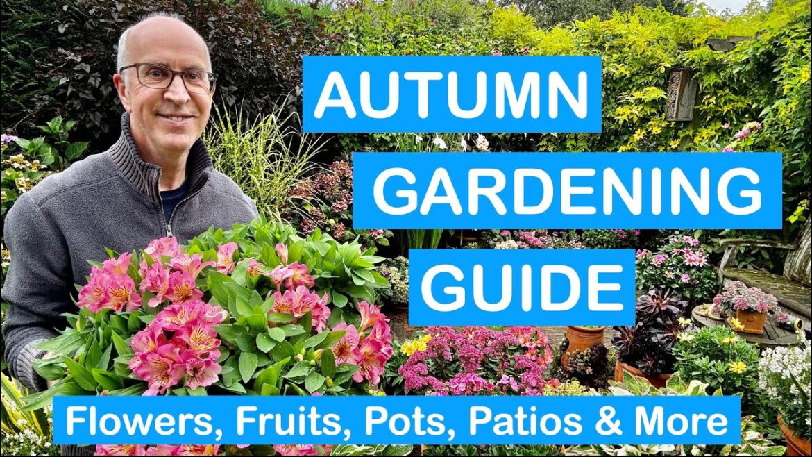 AUTUMN GARDENING GUIDE – Action Plan for Flowers, Fruits, Pots, Patios & More AUTUMN GARDENING GUIDE - Action Plan for Flowers, Fruits, Pots, Patios & More