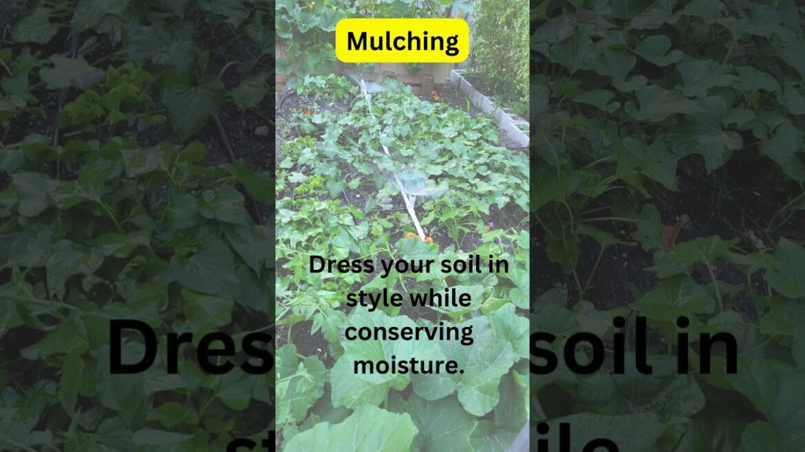 Mulching Tips for the Beginner Gardener #garden #gardening #gardenscapes Mulching Tips for the Beginner Gardener #garden #gardening #gardenscapes