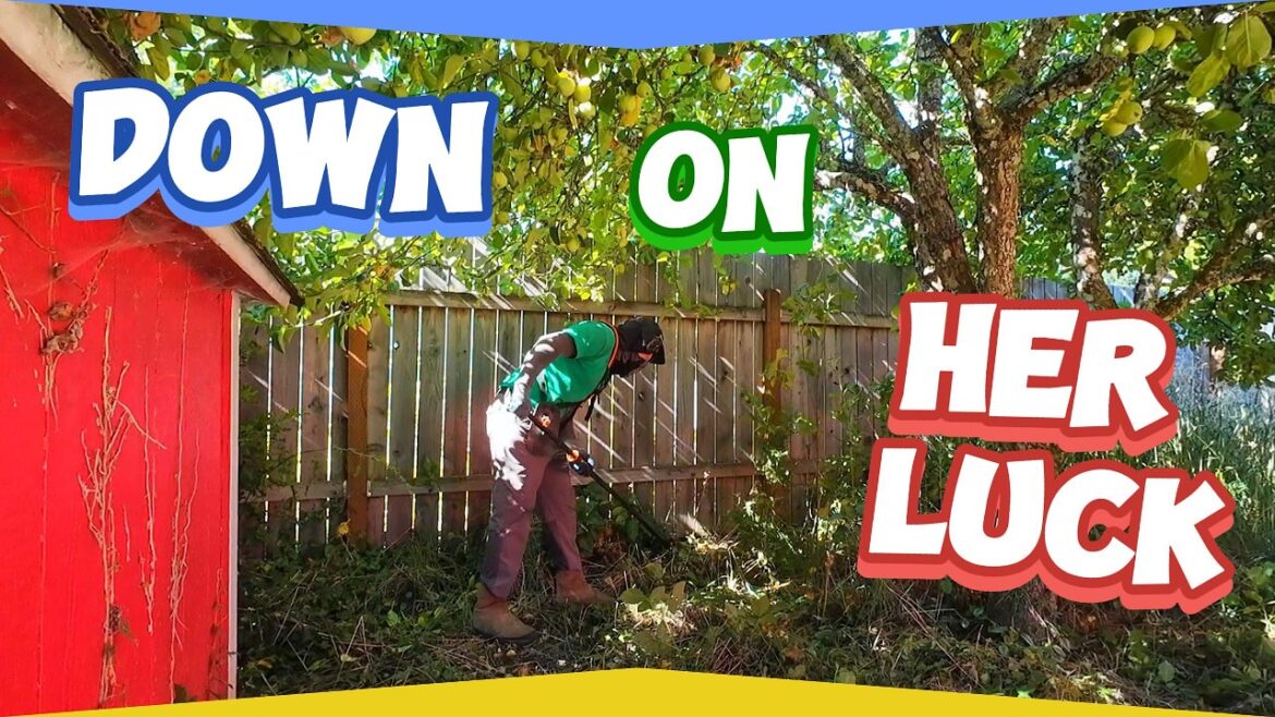 INCREDIBLE Yard Transformation For An Elderly Lady That Will Leave You SPEECHLESS INCREDIBLE Yard Transformation For An Elderly Lady That Will Leave You SPEECHLESS