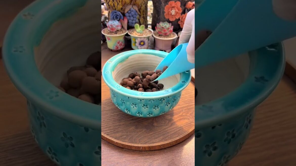 From Seeds to Sensations 🌸 The Garden Trends Everyone’s Talking About!