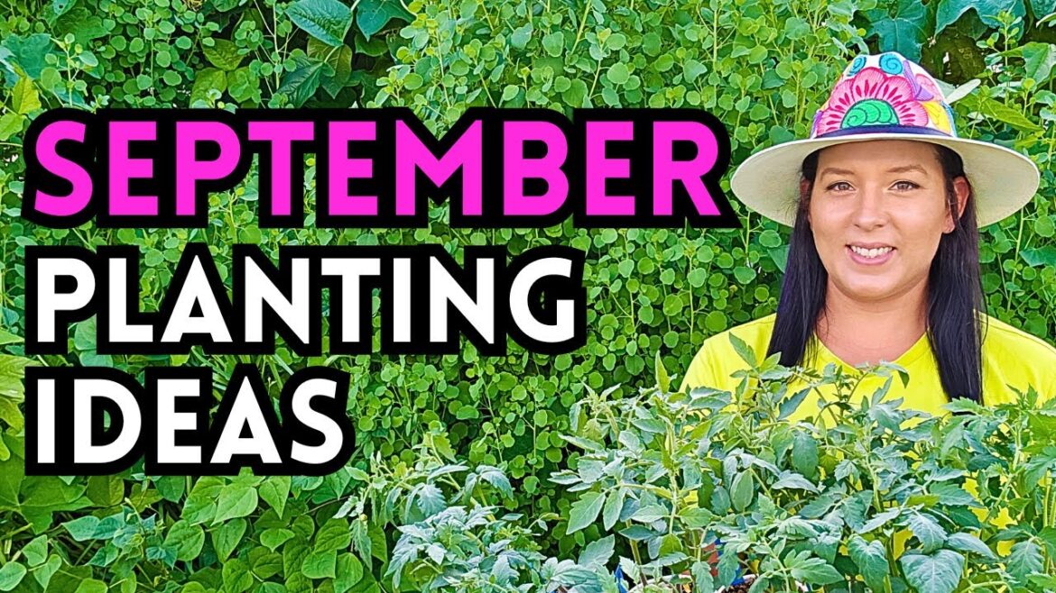 Plant This NOW In September: 12 Veggie/Herb/Flower Ideas For A Thriving Fall Garden Plant This NOW In September: 12 Veggie/Herb/Flower Ideas For A Thriving Fall Garden