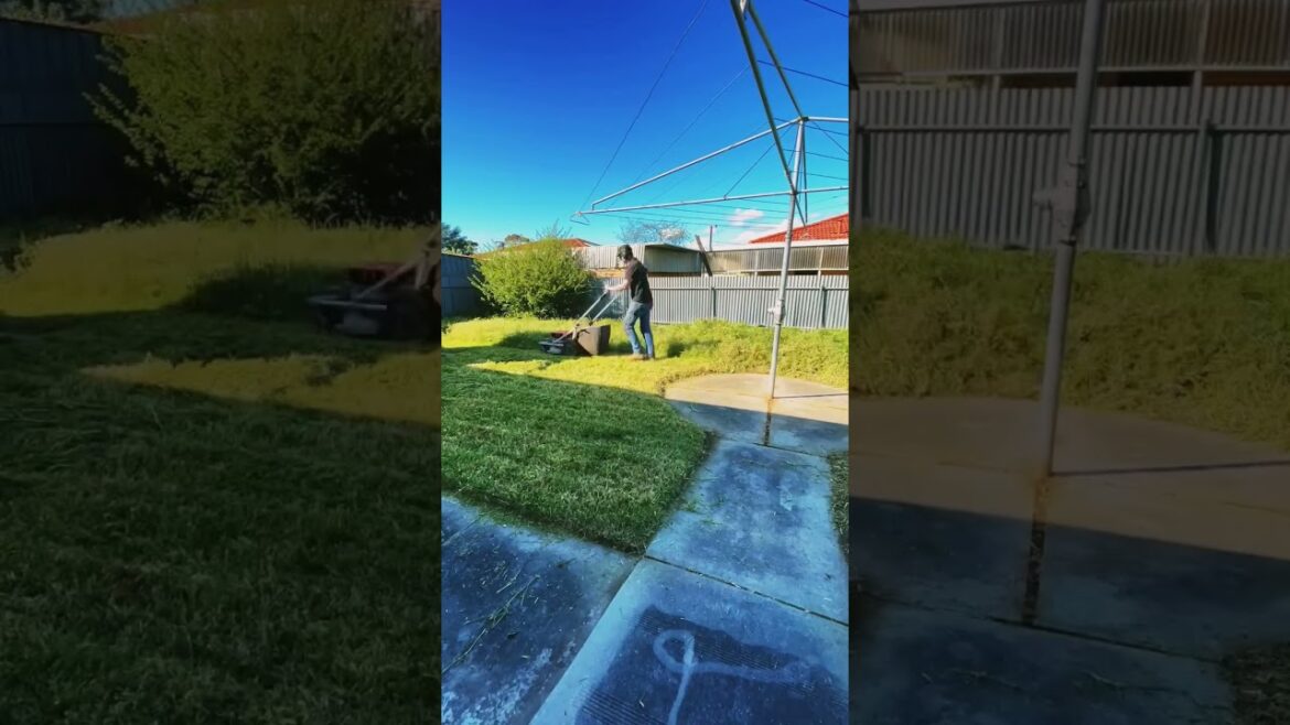 Overgrown Lawn clean up #cleanup #shorts  #lawncare