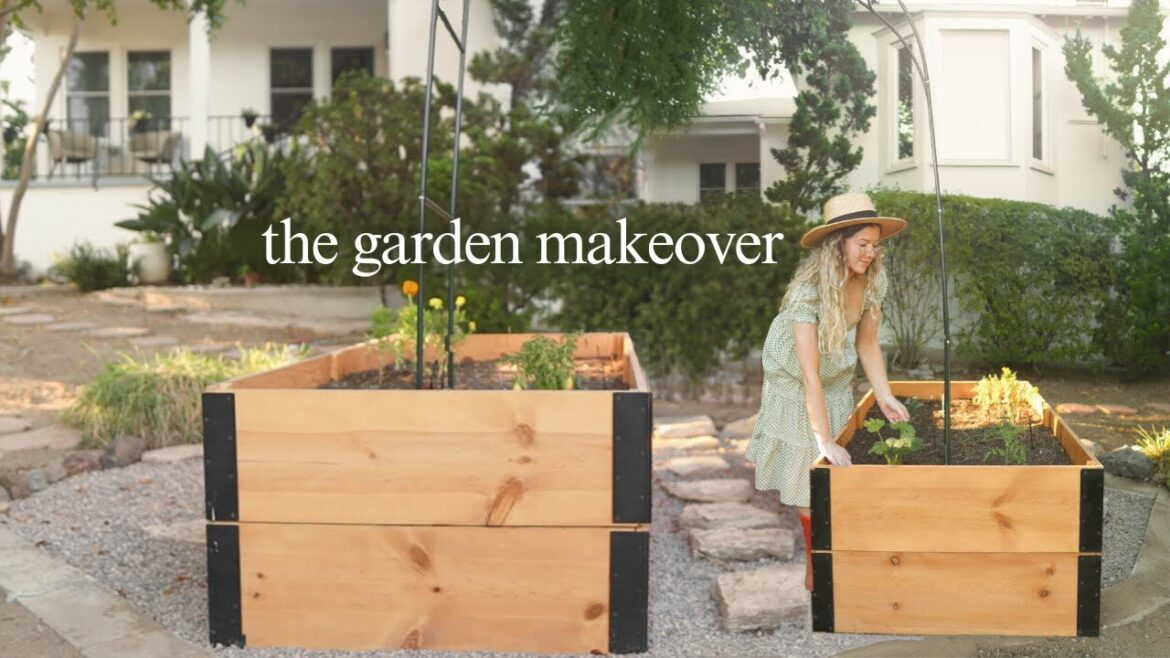 my dream garden makeover // full transformation on a budget + DIY raised planter beds my dream garden makeover // full transformation on a budget + DIY raised planter beds