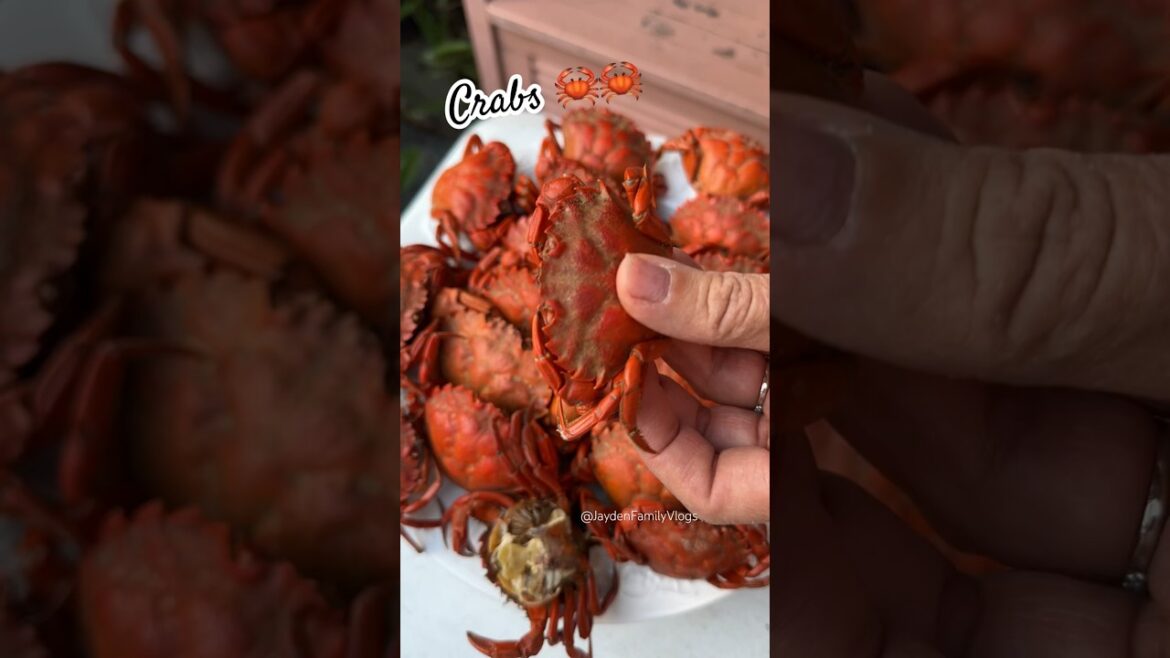 Shore Crab 🦀🦀 #shorts #shortvideo #satisfying #crab #food