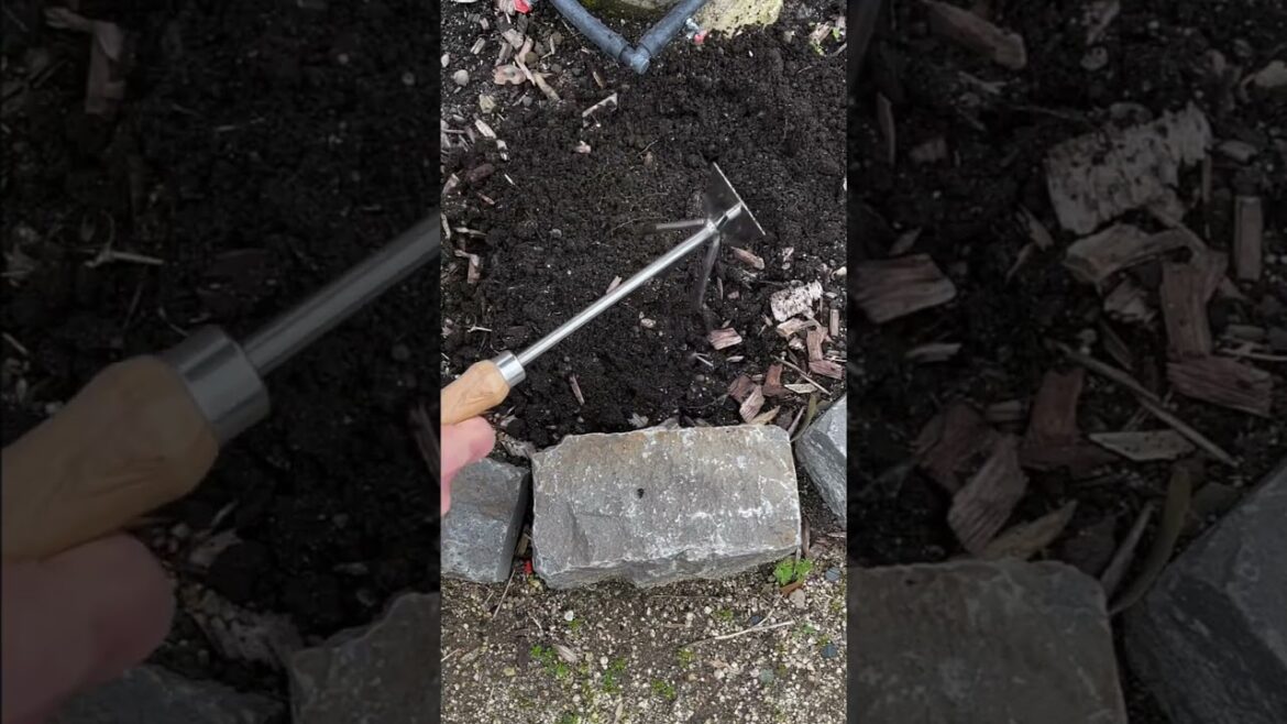 Groundbreaker - Gardening Tools in Action  #gardening #gardeningideas #growgreen