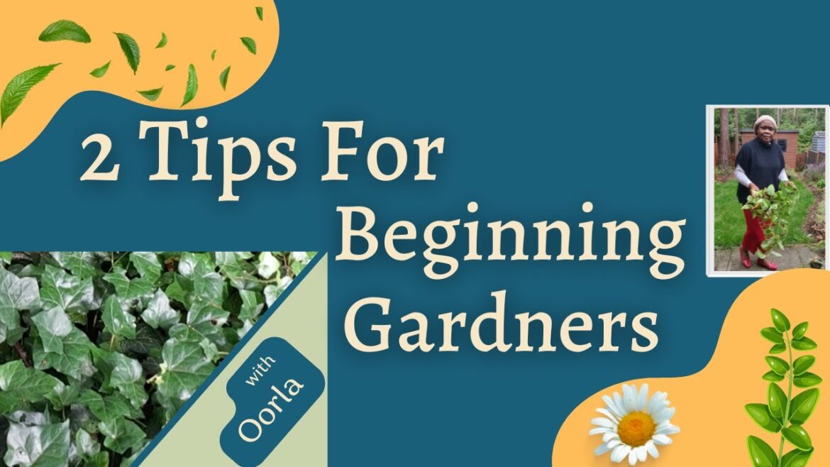 Two Tips Every Beginner Gardener Should Know