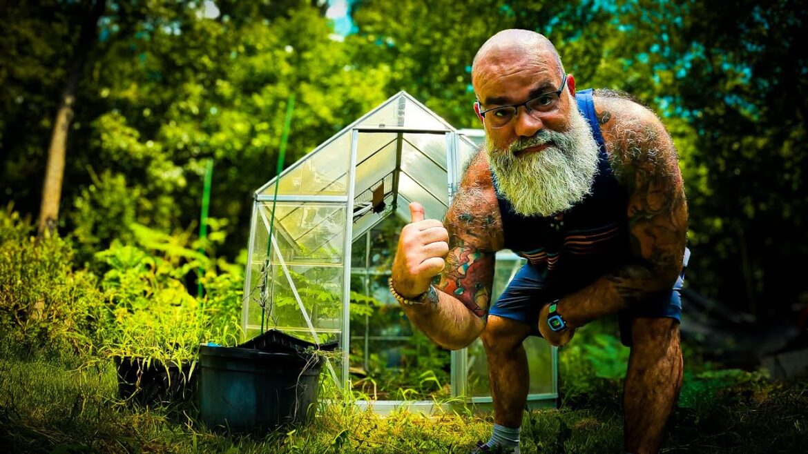 The uncomfortable truth about greenhouse gardening