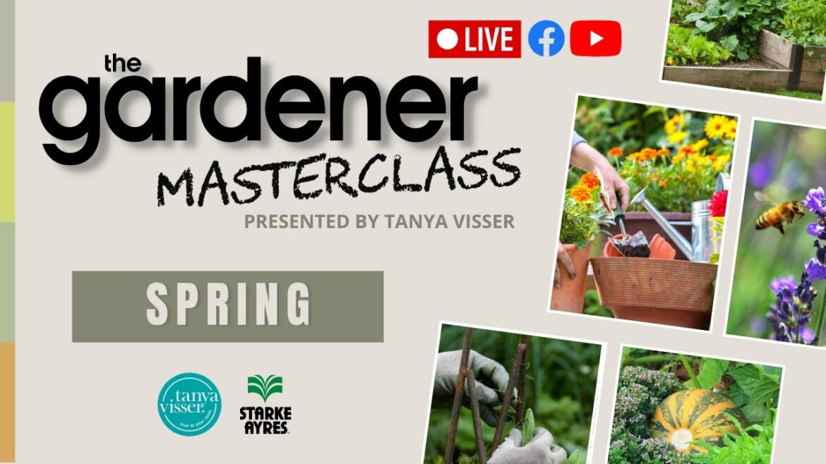 Spring Masterclass | LIVE with Tanya Visser