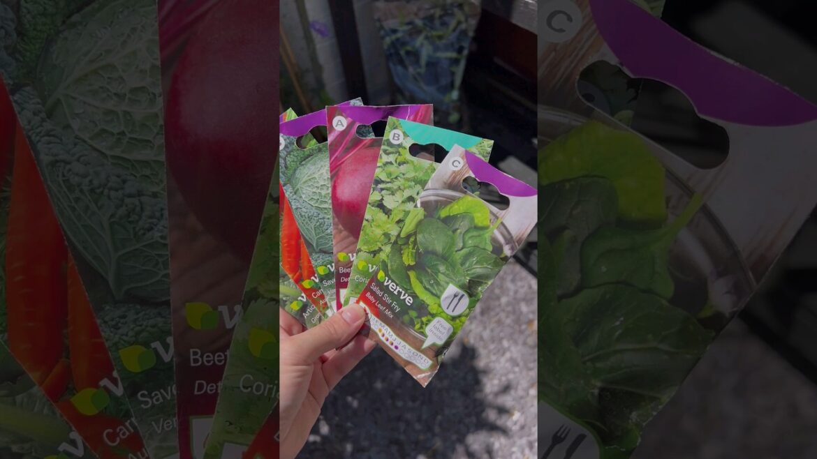 How to sow vegetable seeds in your garden this autumn! 🍂🌿 #DIYtips #Howto #BandQ #Verve How to sow vegetable seeds in your garden this autumn! 🍂🌿 #DIYtips #Howto #BandQ #Verve