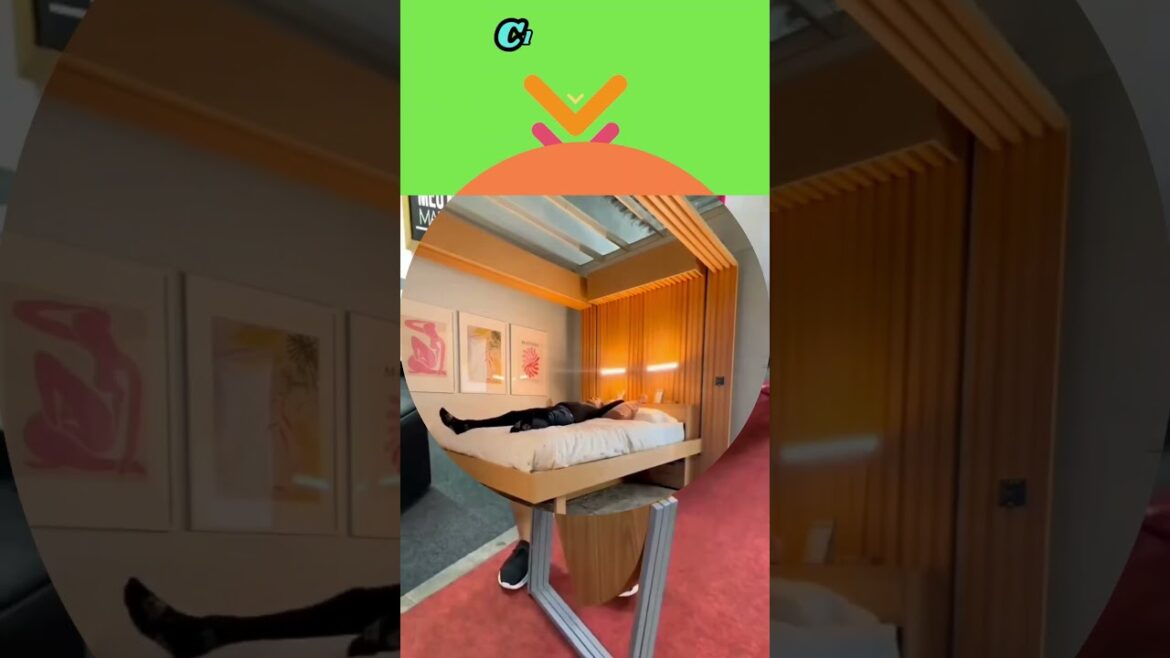 🛠️ Quick Shed Build: Free Plans for Your Perfect Outdoor Storage! 🏡 #Viral #ytshorts #woodworking