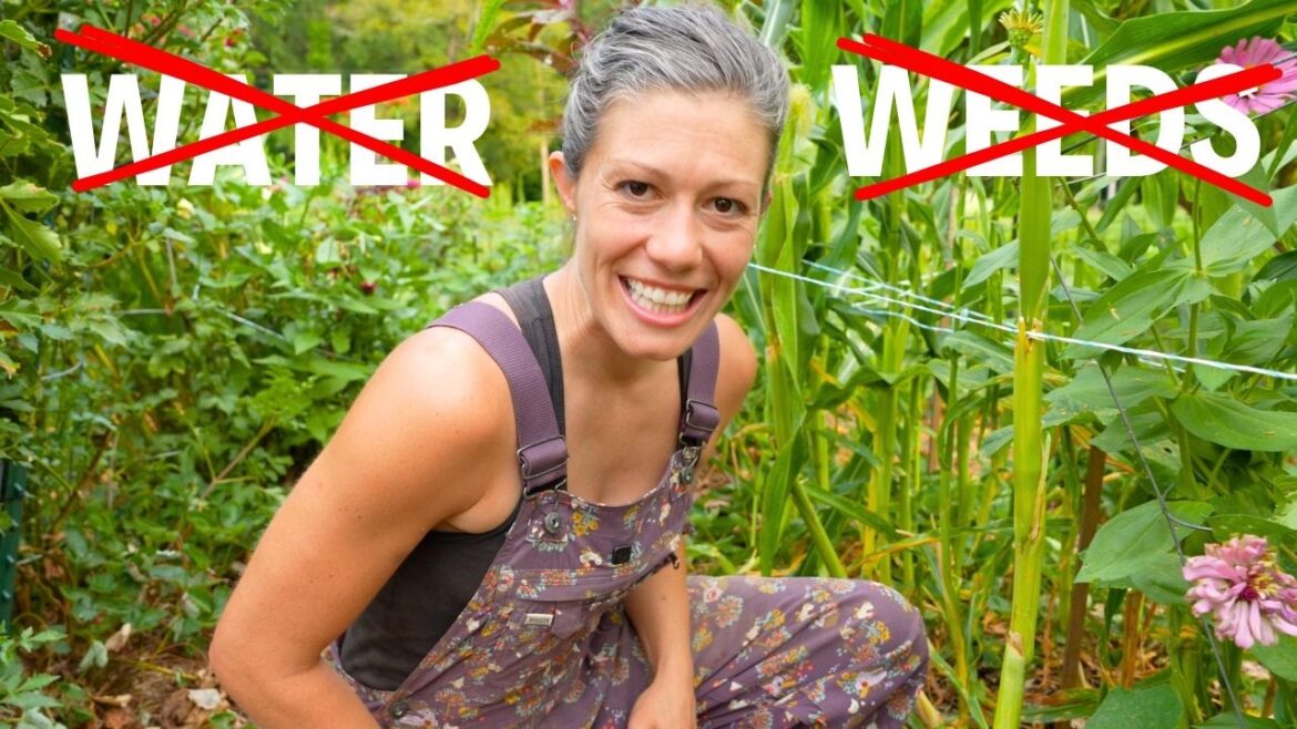 The Lazy Garden Is Under Attack! | FULL August Garden Tour 2024!