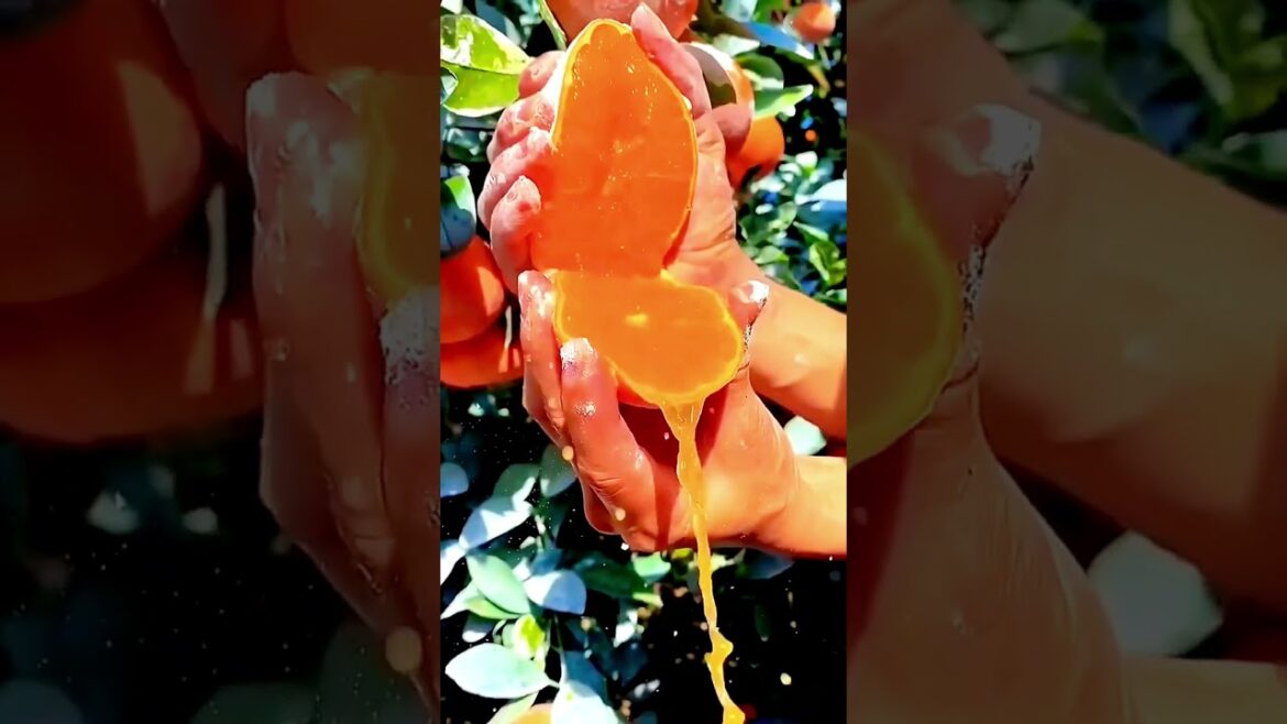 Beautiful, Tasty & Juicy Fruits #shorts