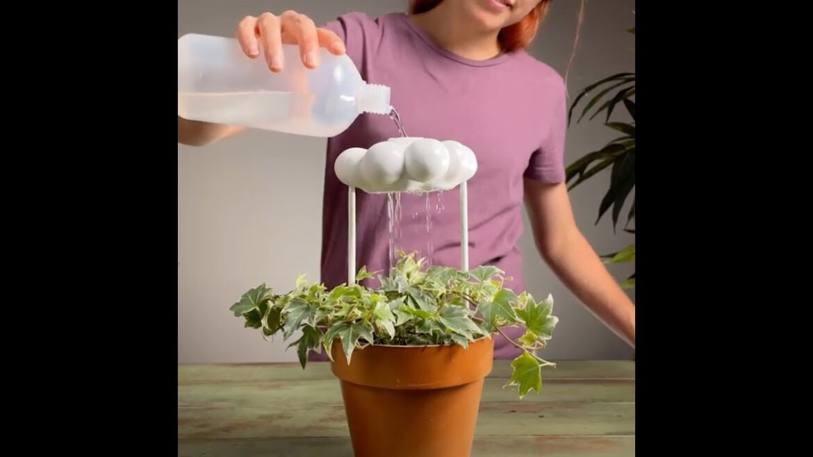 Thriving Houseplants: Clever Tips for a Lush and Lively Home Thriving Houseplants: Clever Tips for a Lush and Lively Home