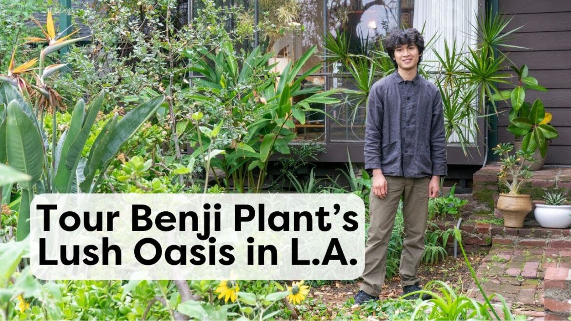 Tour Benji Plant’s Lush, Midcentury Oasis in Los Angeles | Handmade Home