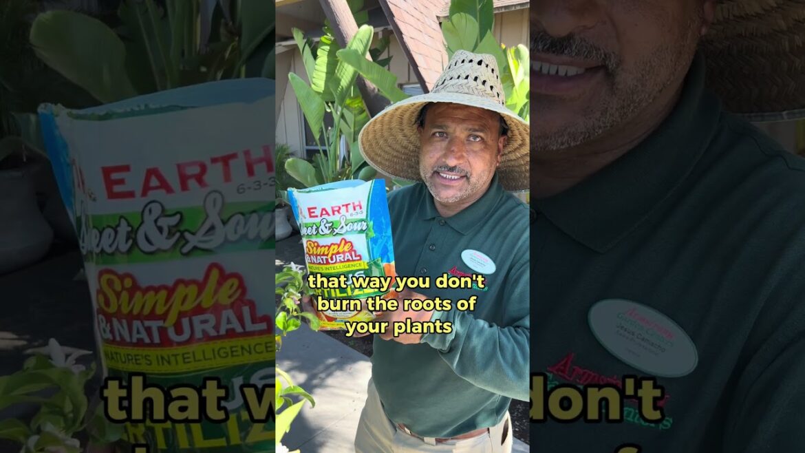 5 Garden Tips You Need for Summer to Beat the Heat 5 Garden Tips You Need for Summer to Beat the Heat