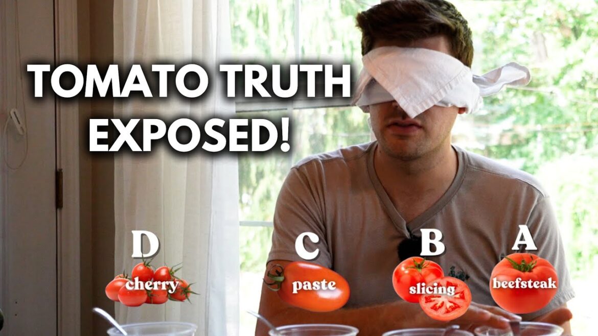 Do Paste Tomatoes Really Make the Best Canned Sauce?